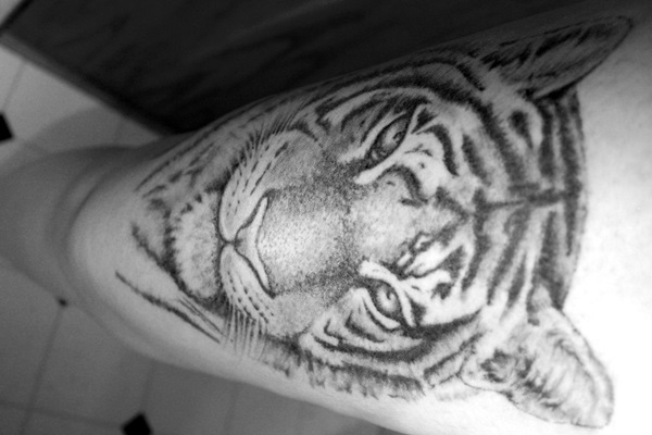 Desenhos de tatuagem de tigre branco e idéias 40 