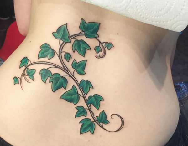 Ivy Tattoo Design na parte inferior das costas para as mulheres 