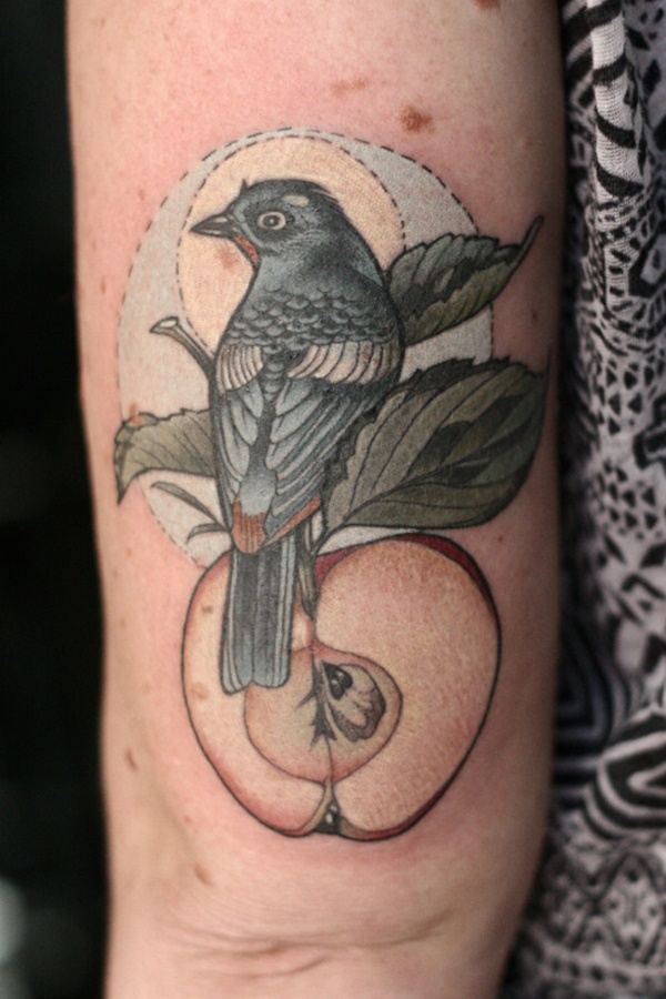 Desenhos de tatuagem de pássaros (80) 