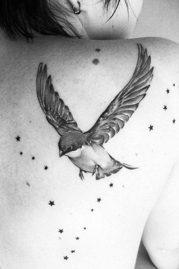 desenho de tatuagem de pássaro (29) 