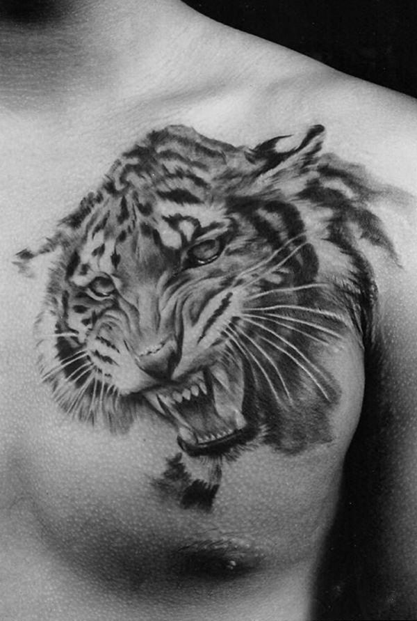Desenhos de tatuagem de tigre branco e idéias 32 