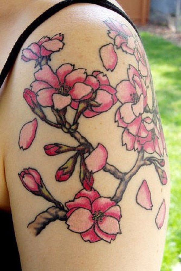 Tatuagens Flor de Cerejeira 16 