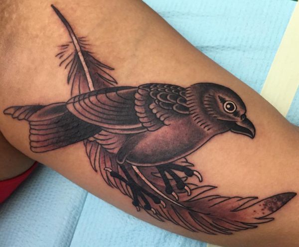 Tatuagem de penas com pássaro no braço 