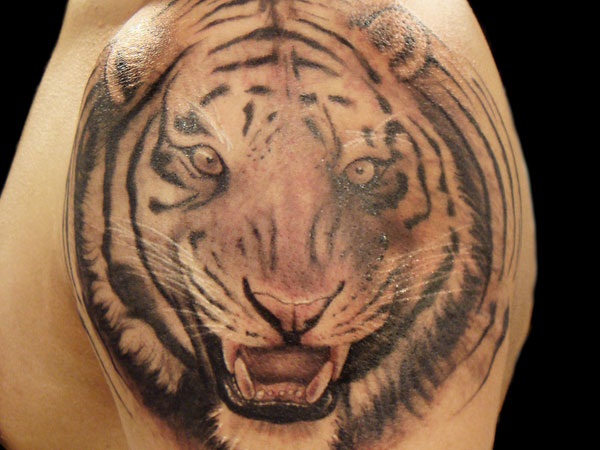 Desenhos de tatuagem de tigre para homens (22) 