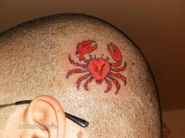 Idéias e inspirações do Tattoo da cabeça bold (realce) 35 