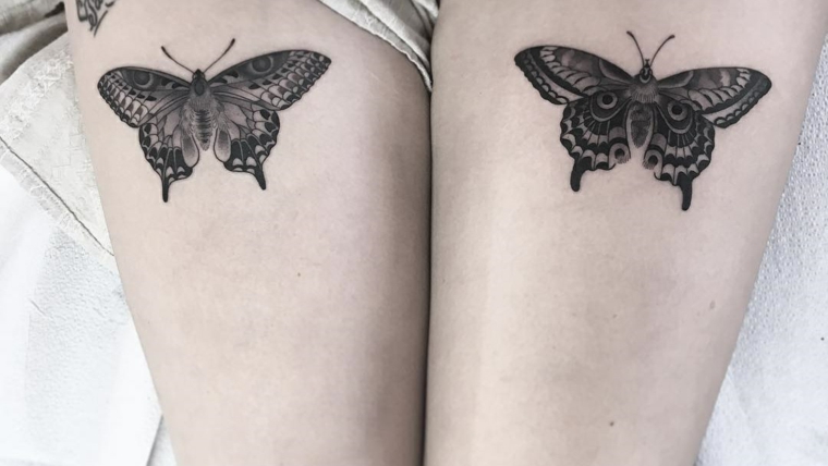 borboletas-pernas-opções-moderno-estilo 