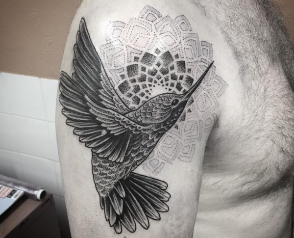 beija-flor com tatuagem de mandala preto branco no braço 