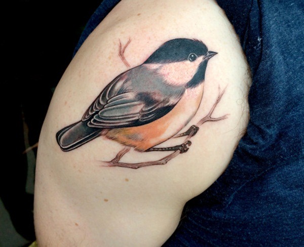 desenho de tatuagem de pássaro (95) 