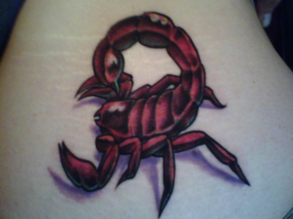35 tatuagens de escorpião sizzling e seus significados 14 