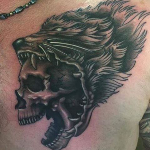 Lobo com tatuagem de caveira no peito 