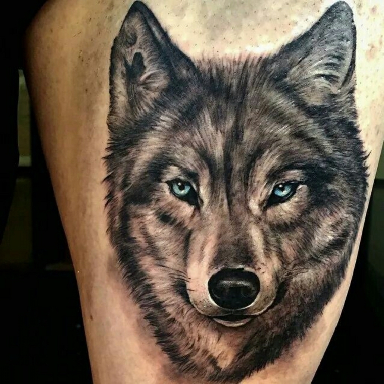 que significa tatuagem de lobo-grande-braço-perna 