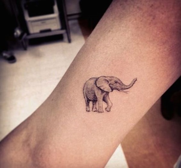 elefante-tatuagem-29 