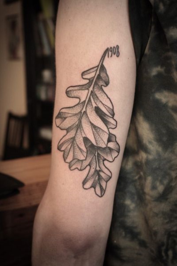 tatuagem de folhas design0561 