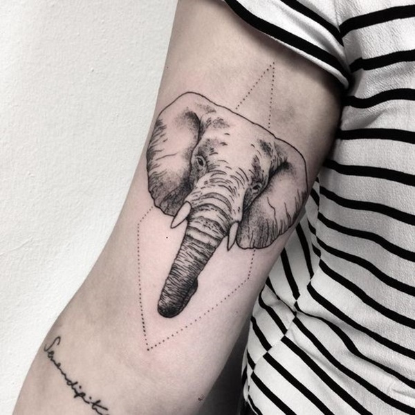 elefante-tatuagem-18 