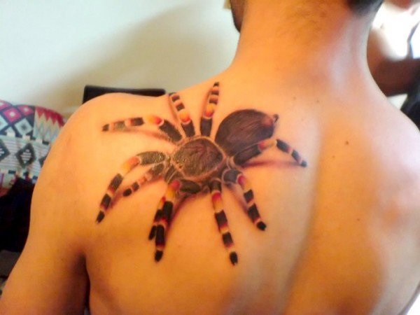 35 desenhos de tatuagem de aranha e idéias 6 