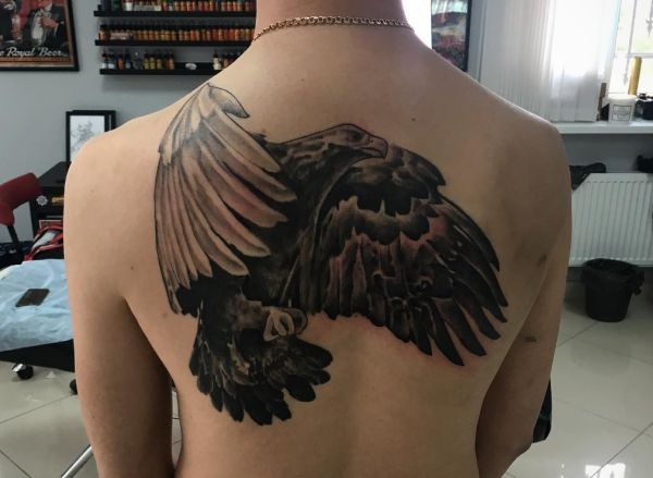 Tatuagem de falcão nas costas 