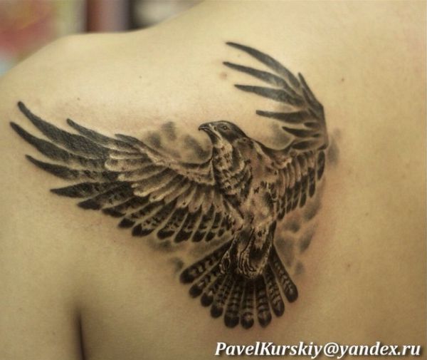 Tatuagem de falcão na escápula 