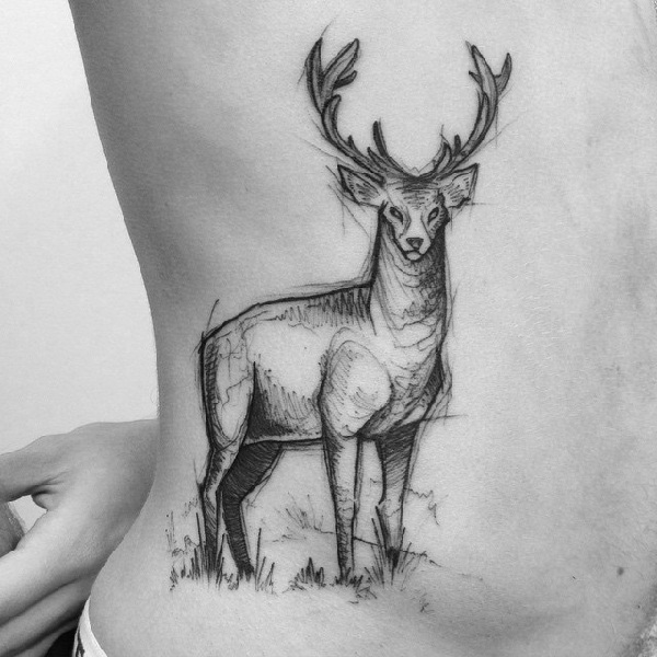sketch-tatuagens-ideias-esboços-stag-body-tattoo-by-ricardo-da-maia 