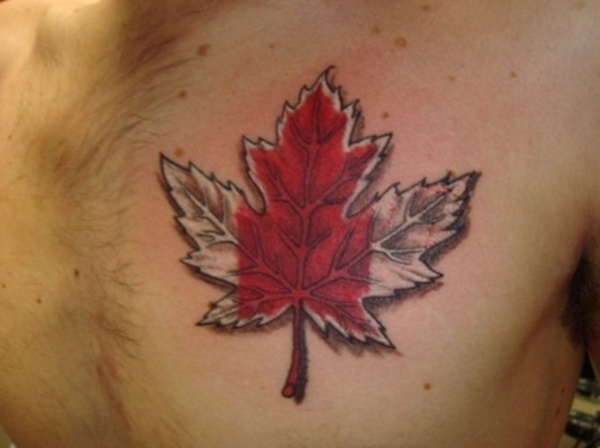tatuagem de folhas design0421 