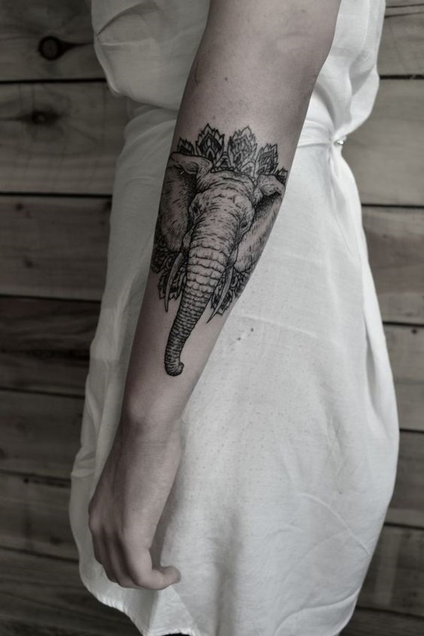 elefante-tatuagem-57 