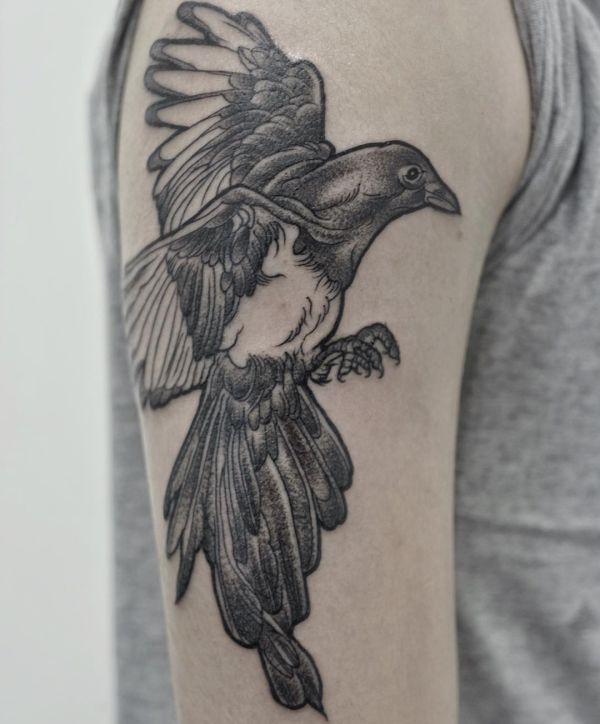 Magpie Tattoo no braço dos homens 