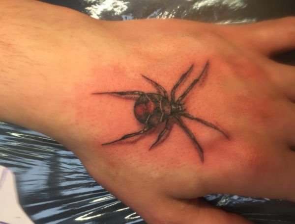 Desenho de aranha na mão