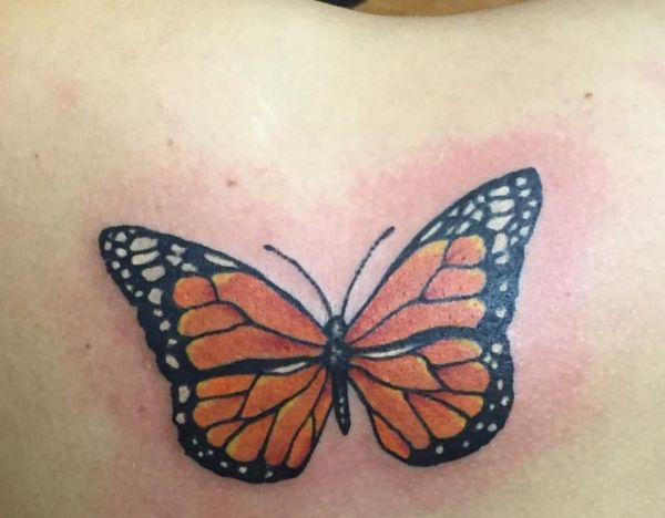 Tatuagem de borboleta monarca na escápula 