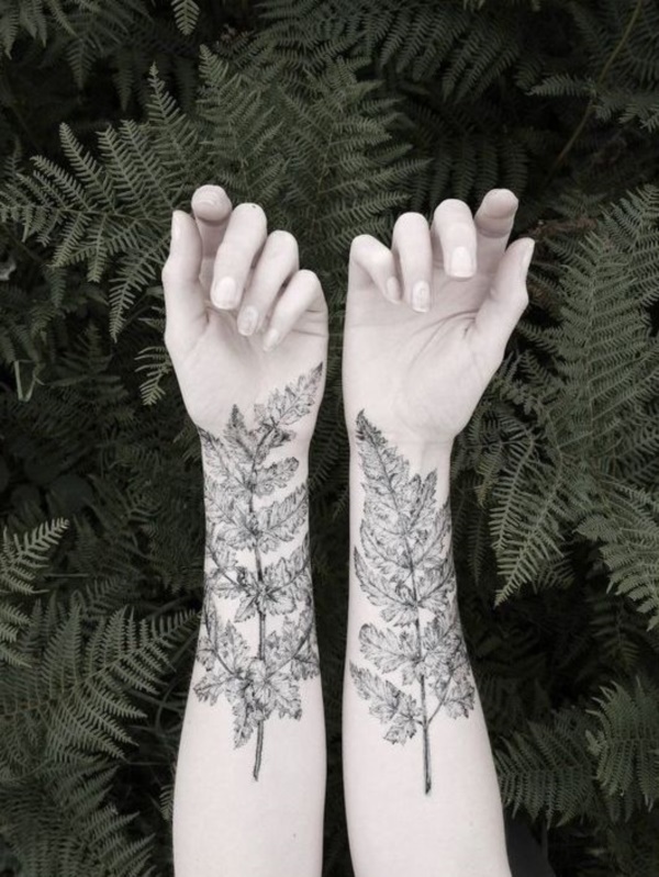 tatuagem de folhas design0781 