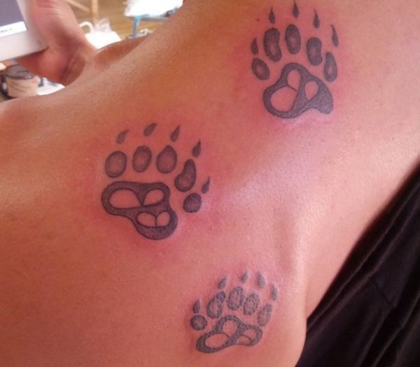 Tatuagem de pawprint furão nas costas 