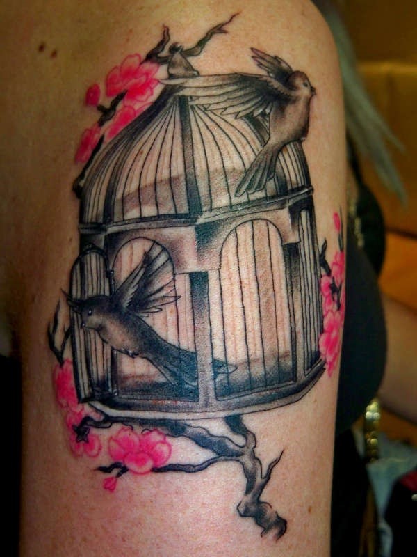 tatuagem de pássaro 14 
