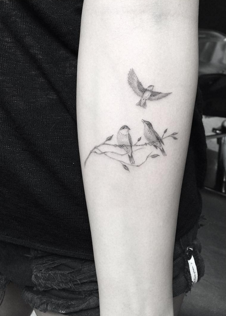 tatuagem-aves-antebraço-opções 