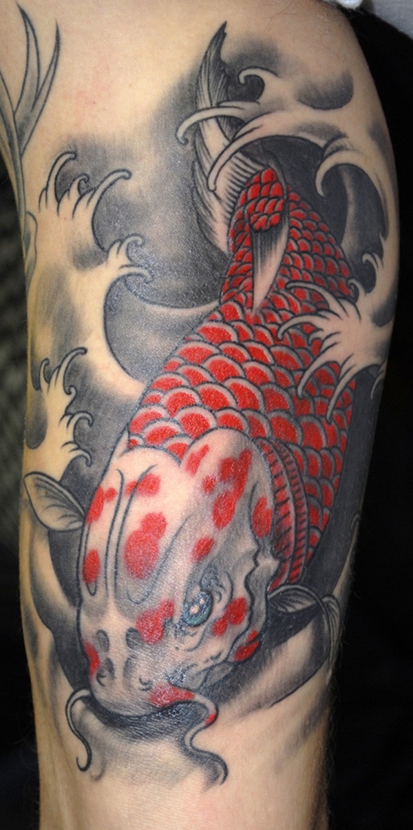 peixe-tatuagens-projetos-ideas0151 