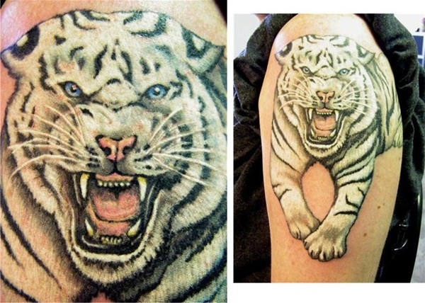 Desenhos de tatuagem de tigre branco e idéias 21 