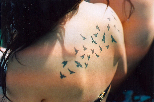 desenhos de tatuagem de aves (3) 