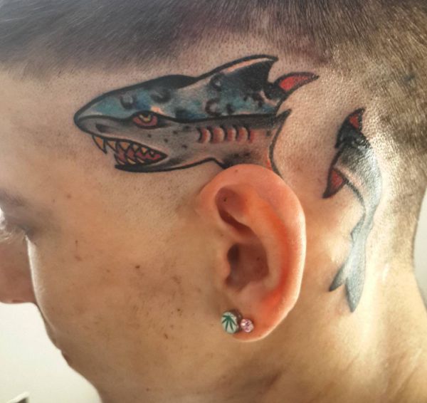 Tatuagem de tubarão na cabeça 
