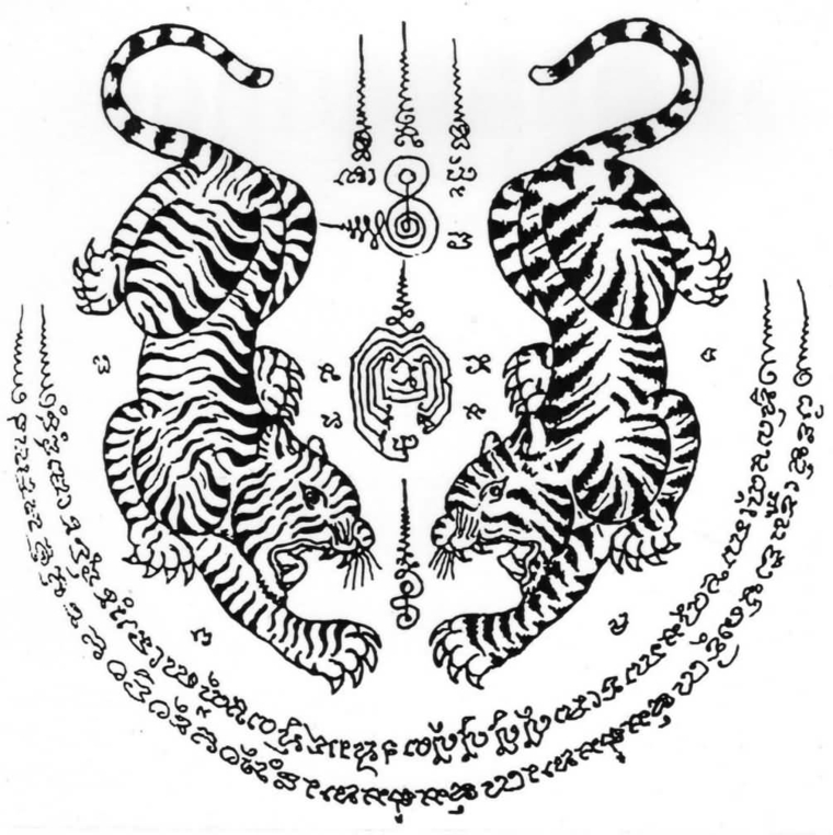 tatuagens-tigres-tigres-símbolos 