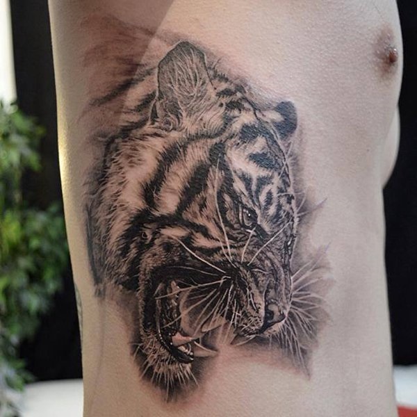 Desenhos de tatuagem de tigre branco e idéias 16 