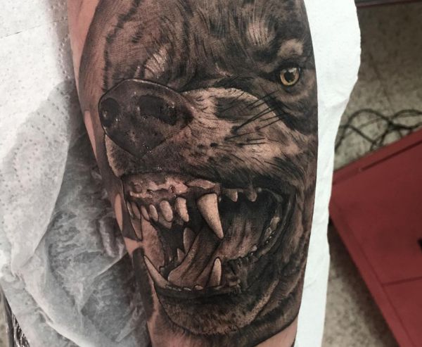 Desenho de tatuagem de lobo selvagem realista 