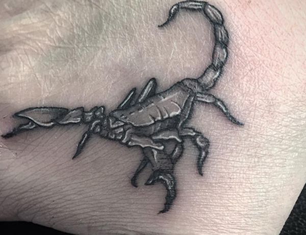 Tatuagem de escorpião pequeno na mão 