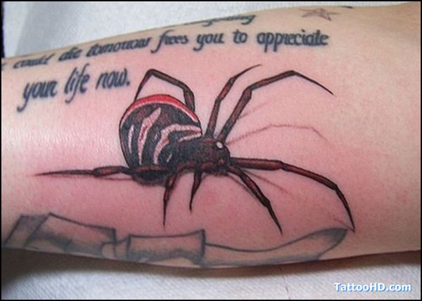 35 desenhos de tatuagem de aranha e idéias 23 