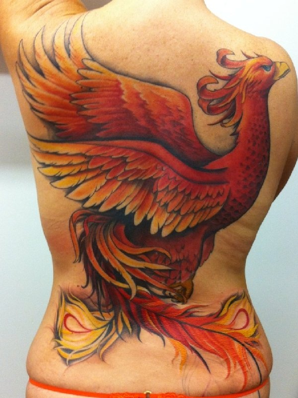 Tatuagem de Phoenix designs1 