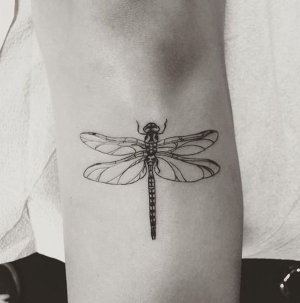 libélula-tatuagem-desenho-42 