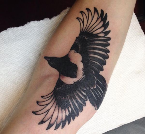 Magpie Tattoo no braço 