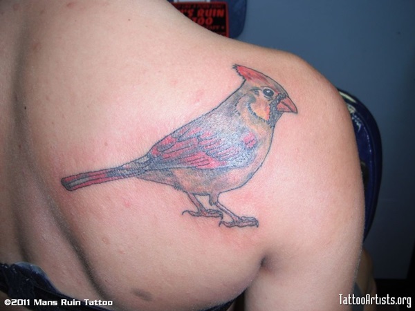 35 Cardinal Tattoo Designs e Ideias 11 