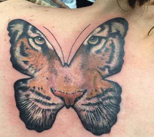 Borboleta com tatuagem de tigre nas costas 