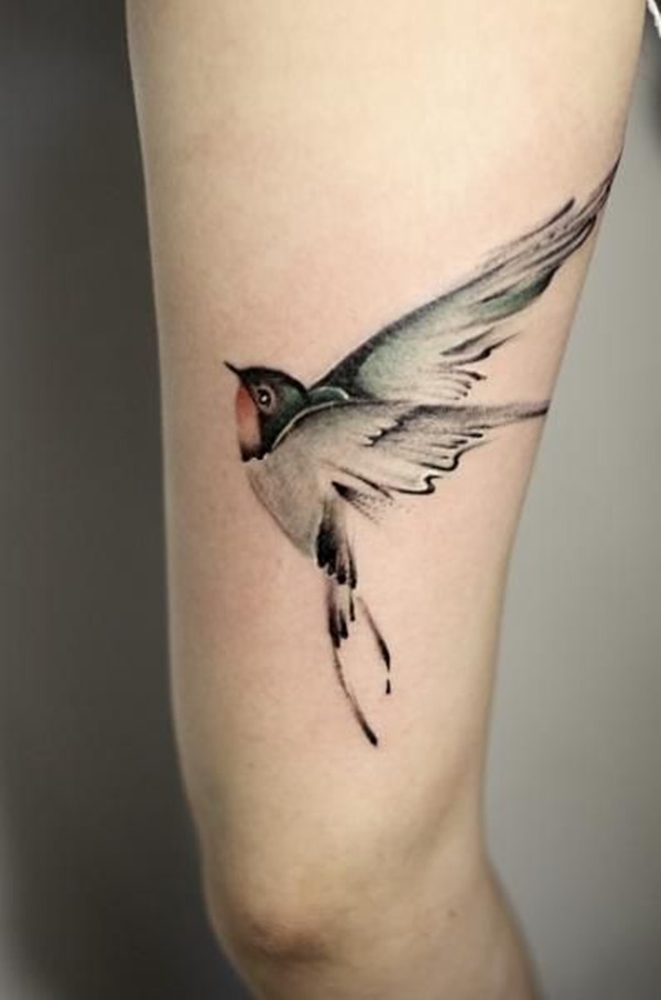 andorinha-tatuagem-desenho-38 