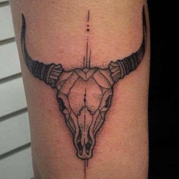 Crânio de touro tatuagem desenho 