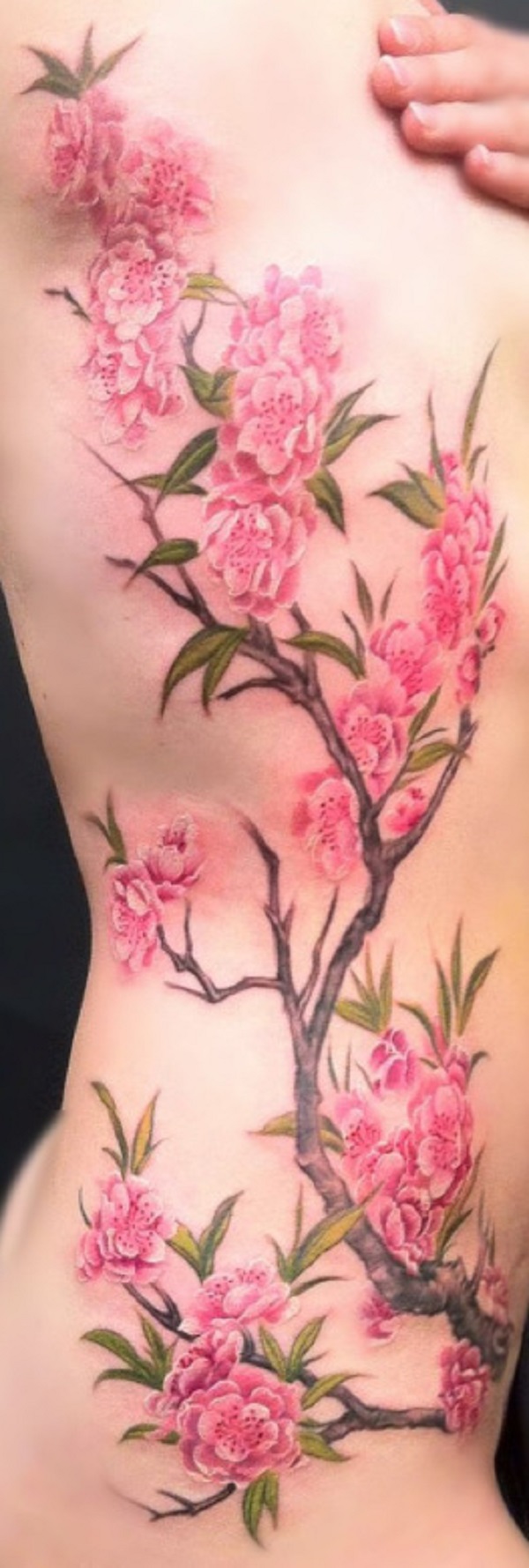 Tatuagens Flor de Cerejeira 14 