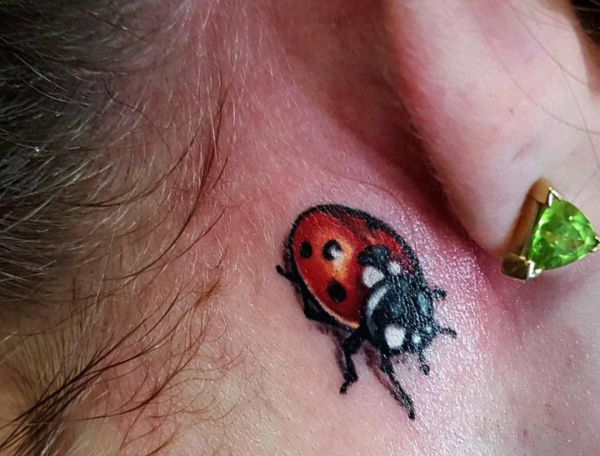 Tatuagem de joaninha atrás da orelha 