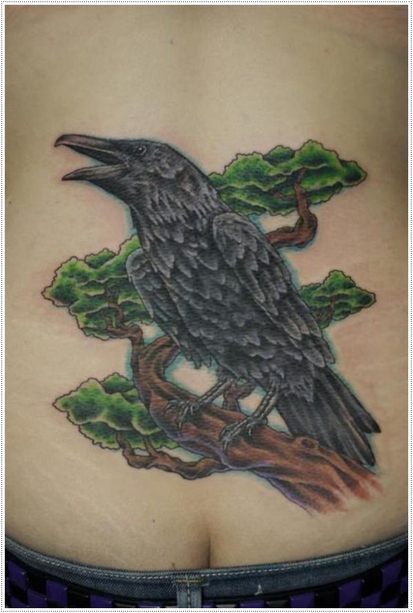 Raven-tatuagens-desenhos 